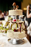 Cheescake Factory Fotostudio - Hochzeit
